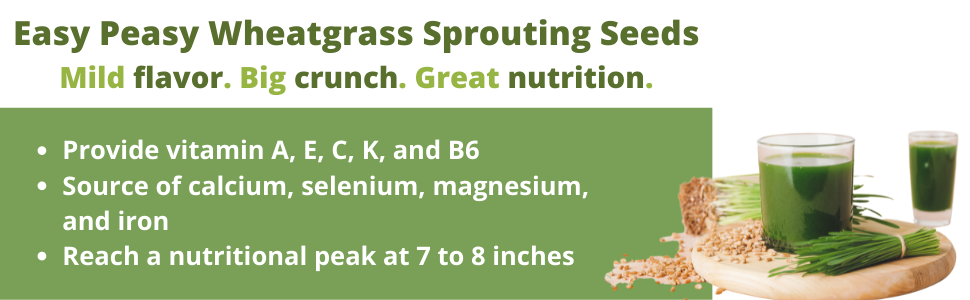 Wheatgrass is a great source of vitamins such as A, E, C, K and B6.  It is also loaded with calcium.