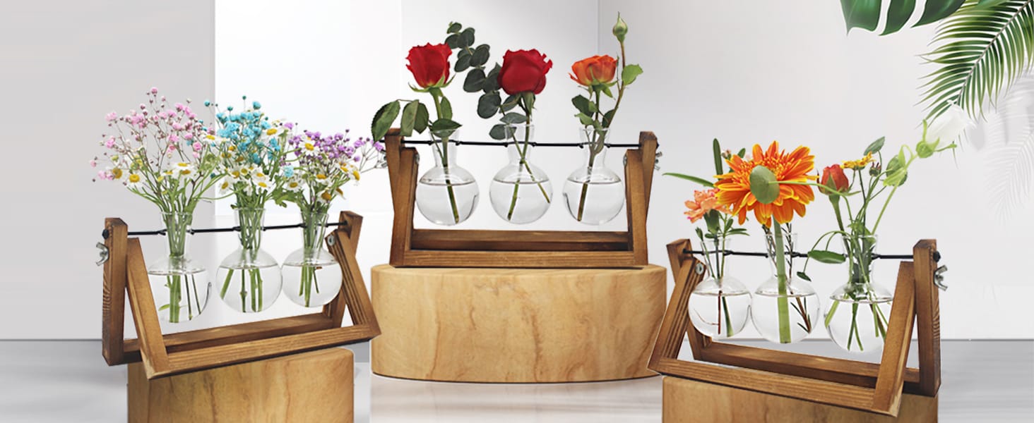 Great present for yourself or your friends who want to cutting plants or live houseplants