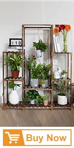 plant stand