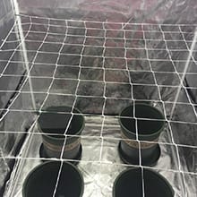 Trellis Netting