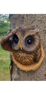 Owl Tree Hugger