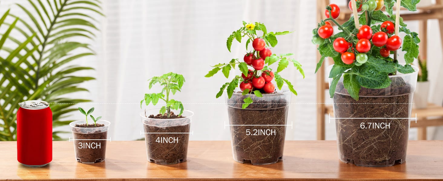 Clear Nursery Pots