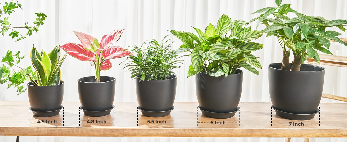 Plastic Planter