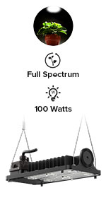60W WITH HOOK