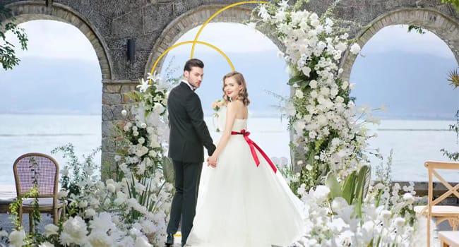 set of 2 arch backdrop stand