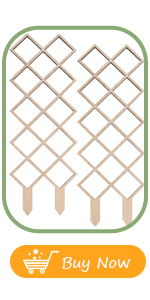 Wooden Trellis for Climbing Plants