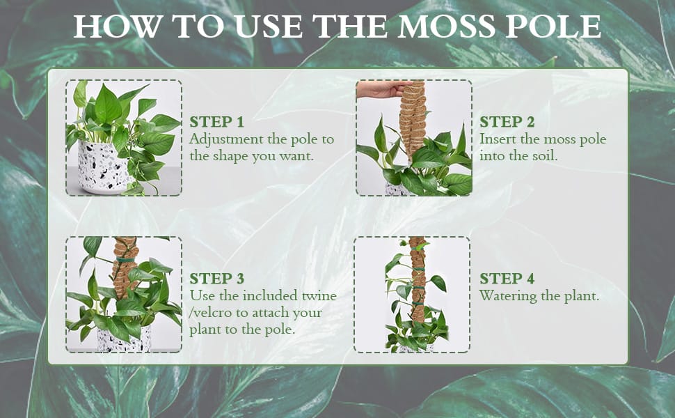 Moss Pole