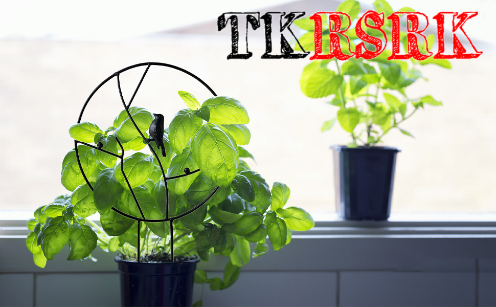 Garden Trellis