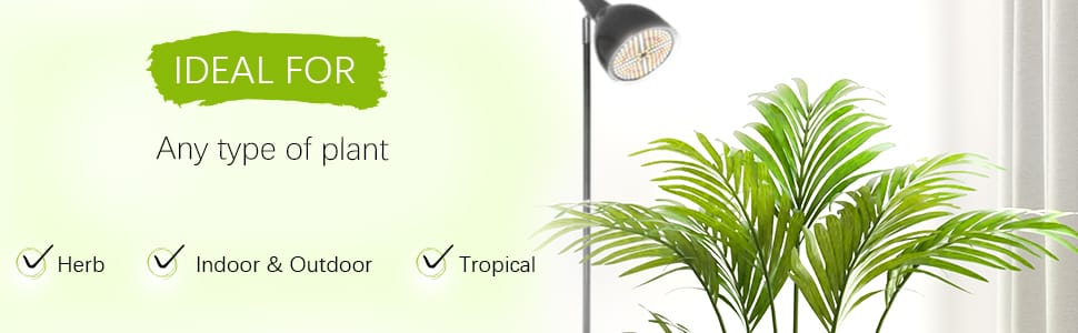 full spectrum grow light bulb