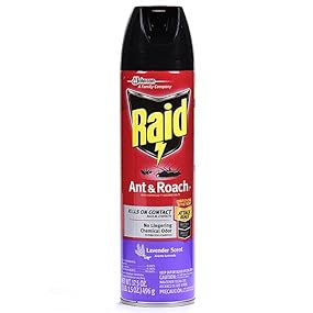 Raid Ant & Roach Killer 26, Lavender Scent, 17.5 oz - Main Product Image