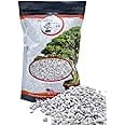Pumice for Bonsai, Succulent, Cactus | 2 Quarts Bag | 1/4” Particle Size | The Bonsai Supply