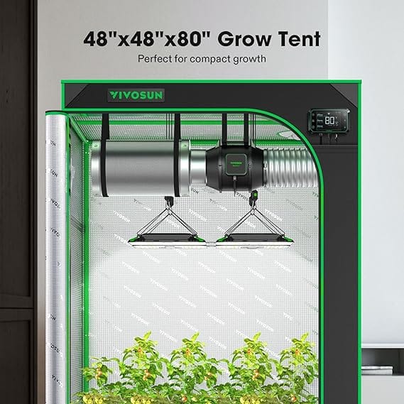 81PFLQN8_FL._AC_SX569