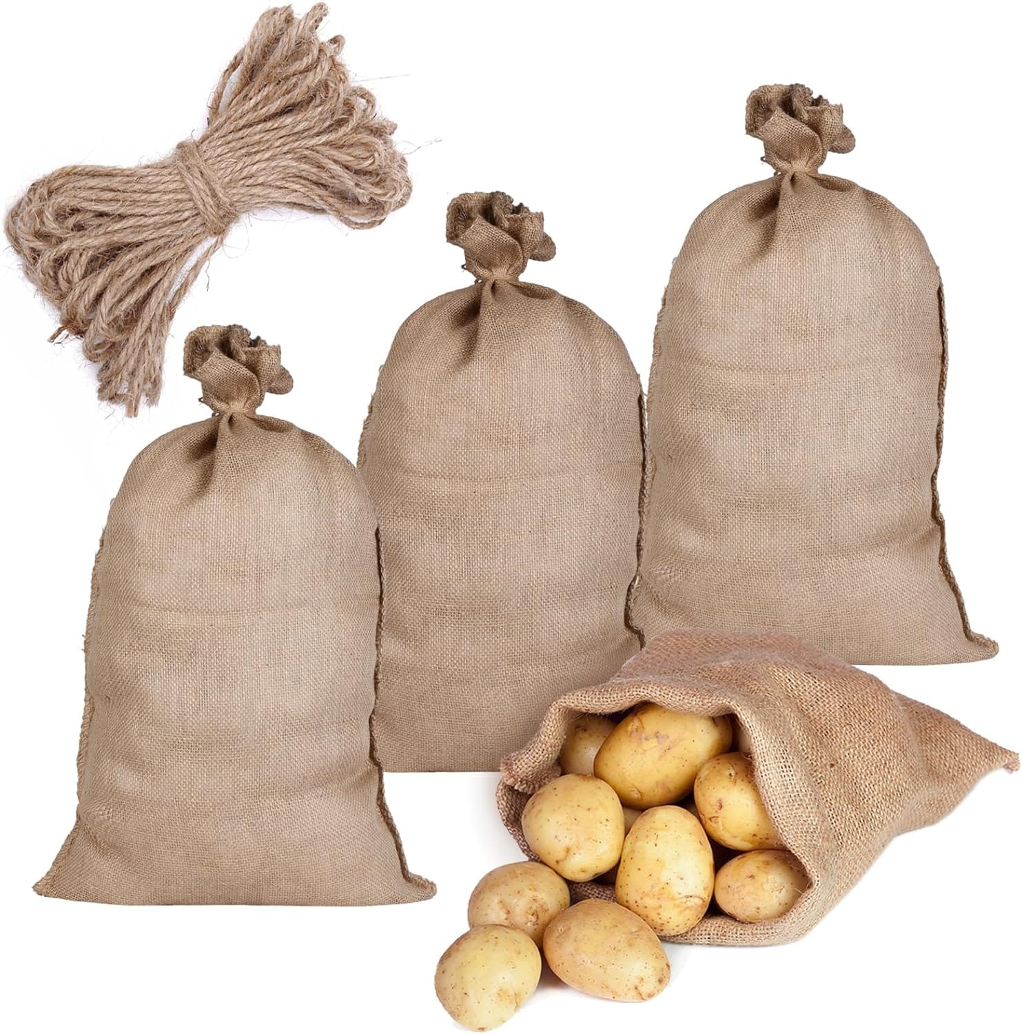 81S8xWgGLeL._AC_SL1500