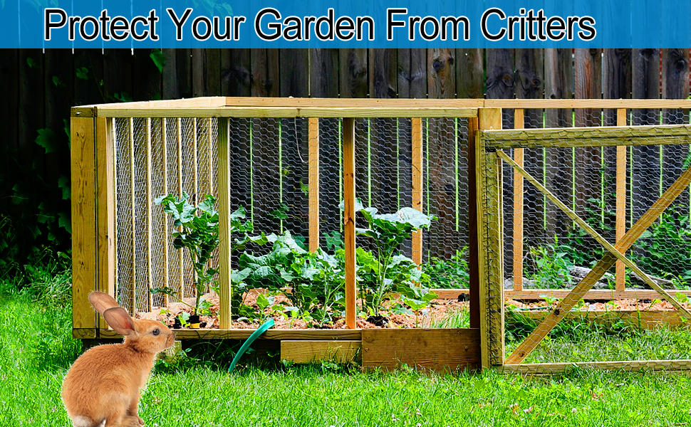 Chicken Wire