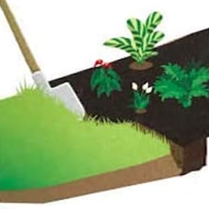 garden borders and edging