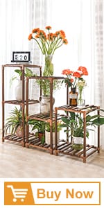 plant rack