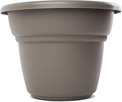 Bloem MP1013-60 Milano Planter, 12-Inch, Peppercorn
