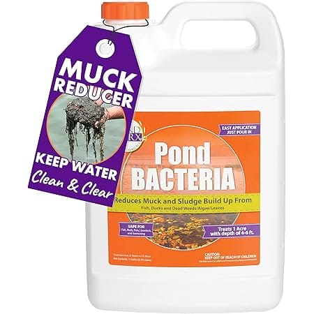 PondWorx Pond Bacteria - Formulated for Large Ponds, Water Features and Safe for Koi - Gallon