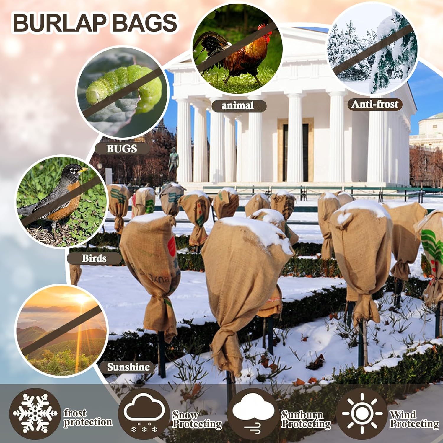 81y98D7Ev-L._AC_SL1500