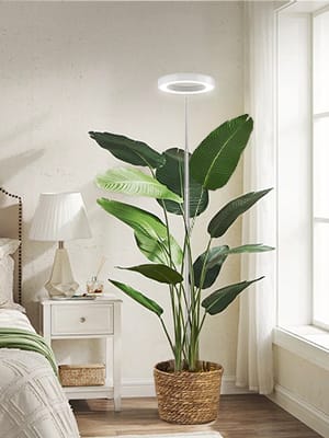 grow light