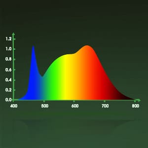 full spectrum grow light bulb for indoor plants