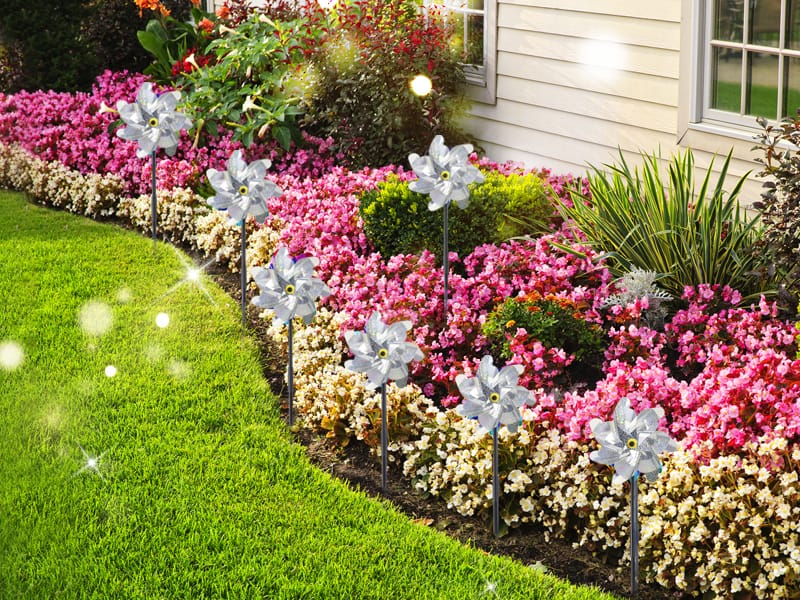 Decorate Your Garden