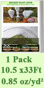 Plant cover