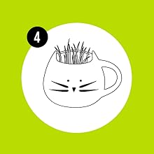 When the first sprouts pop, move your mug to a sunny spot.
