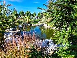 large pond kit