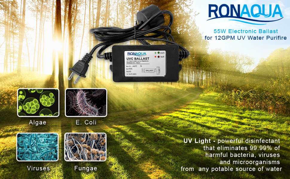 55w ballast