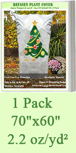plant cover