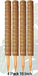 Moss Poles for Climbing Plants Monstera