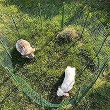 rabbbit fence