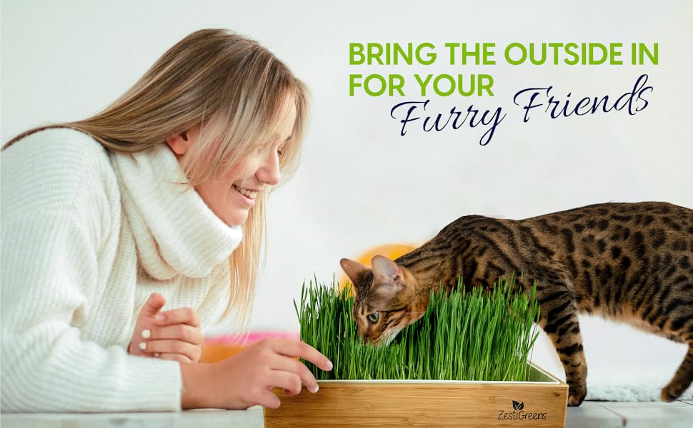 plants for cats