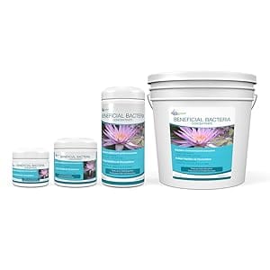 beneficial bacteria family 900x900