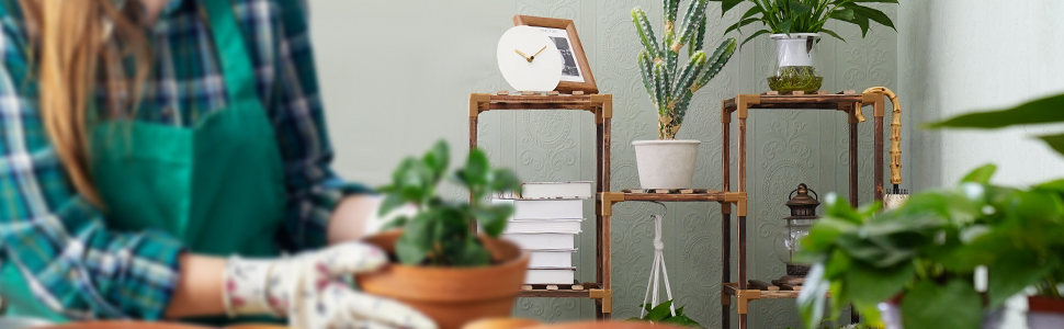 large plant shelf
