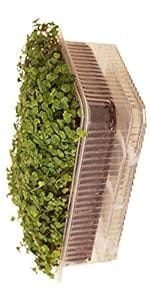 self-watering microgreens wheatgrass wheat grass growing trays handy pantry cat grass