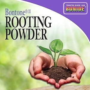 bontone rooting powder