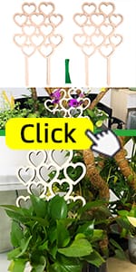 plant support