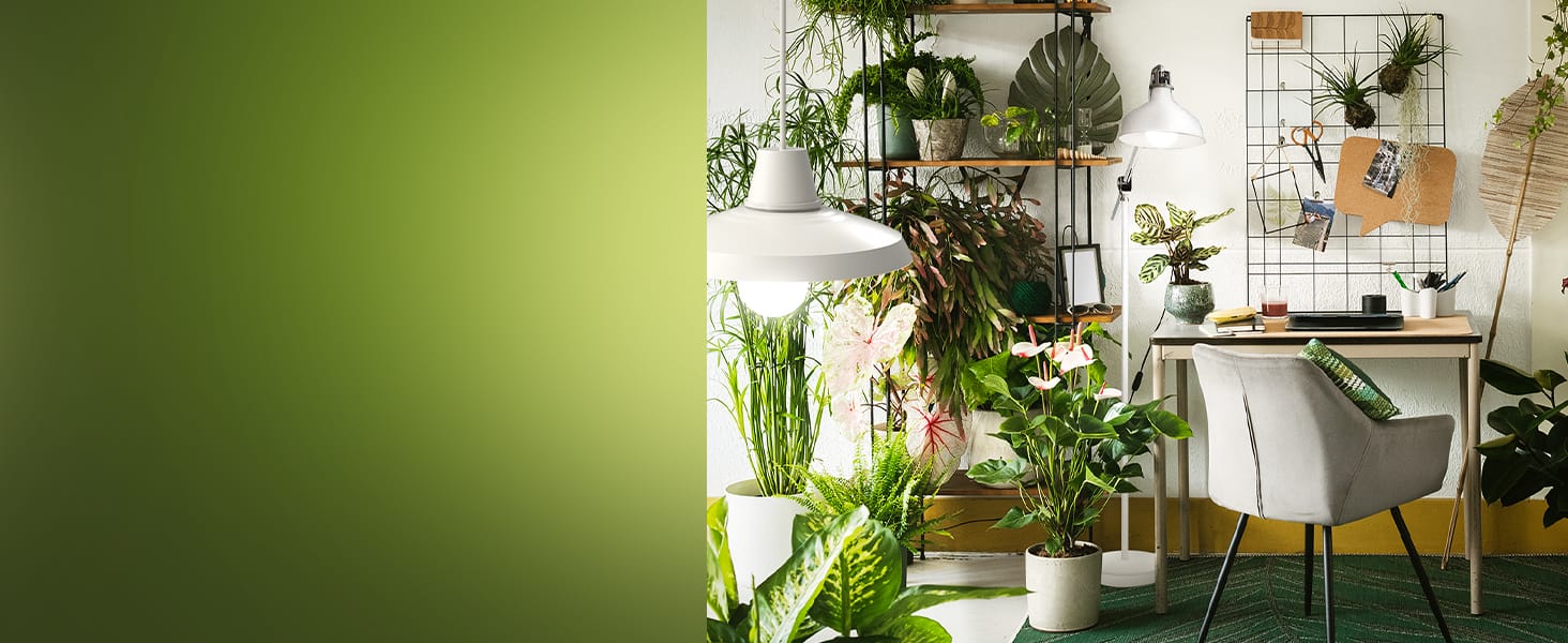 plant light bulbs 4000K