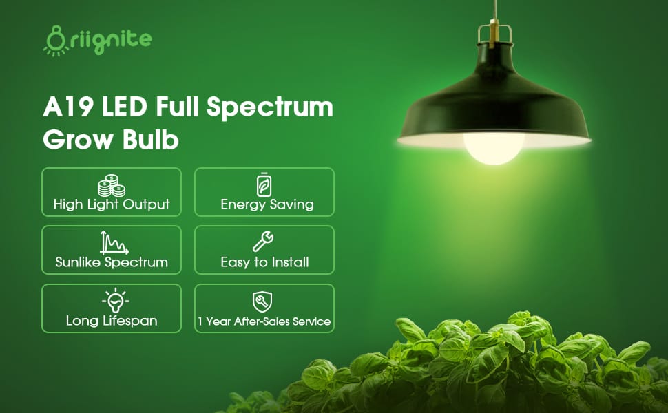 grow light bulbs