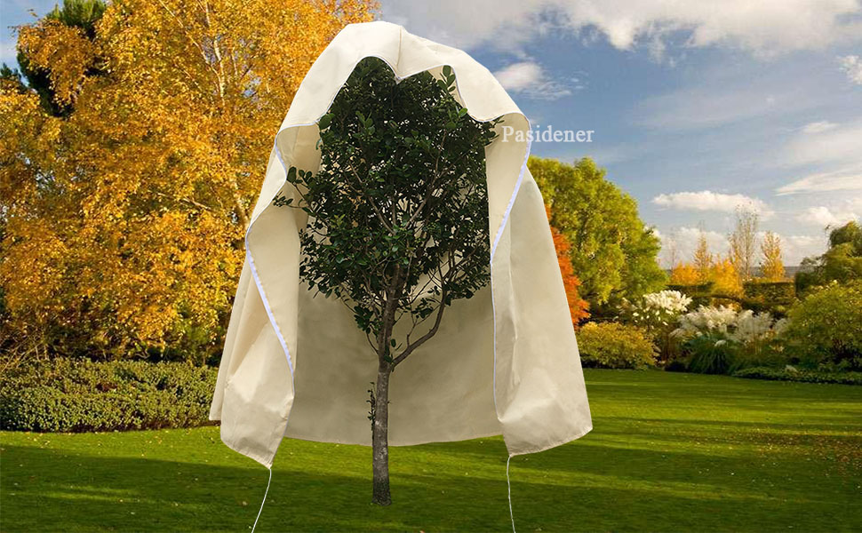 Tree cover