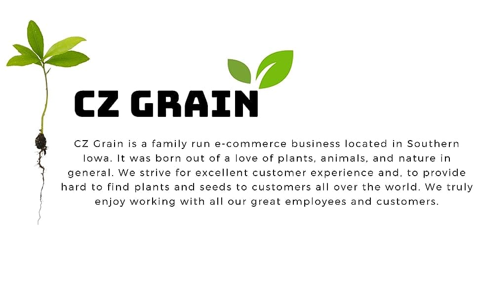 CZ Grain logo, About CZ Grain