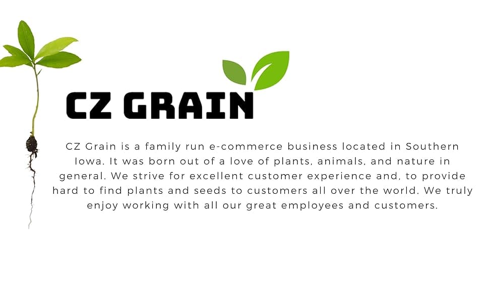 CZ Grain logo, About CZ Grain