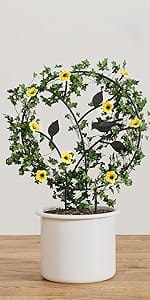 plant trellis