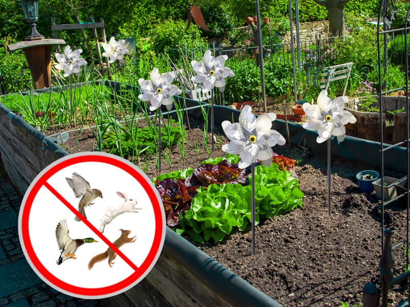 No More Mess/ Damage from Animal