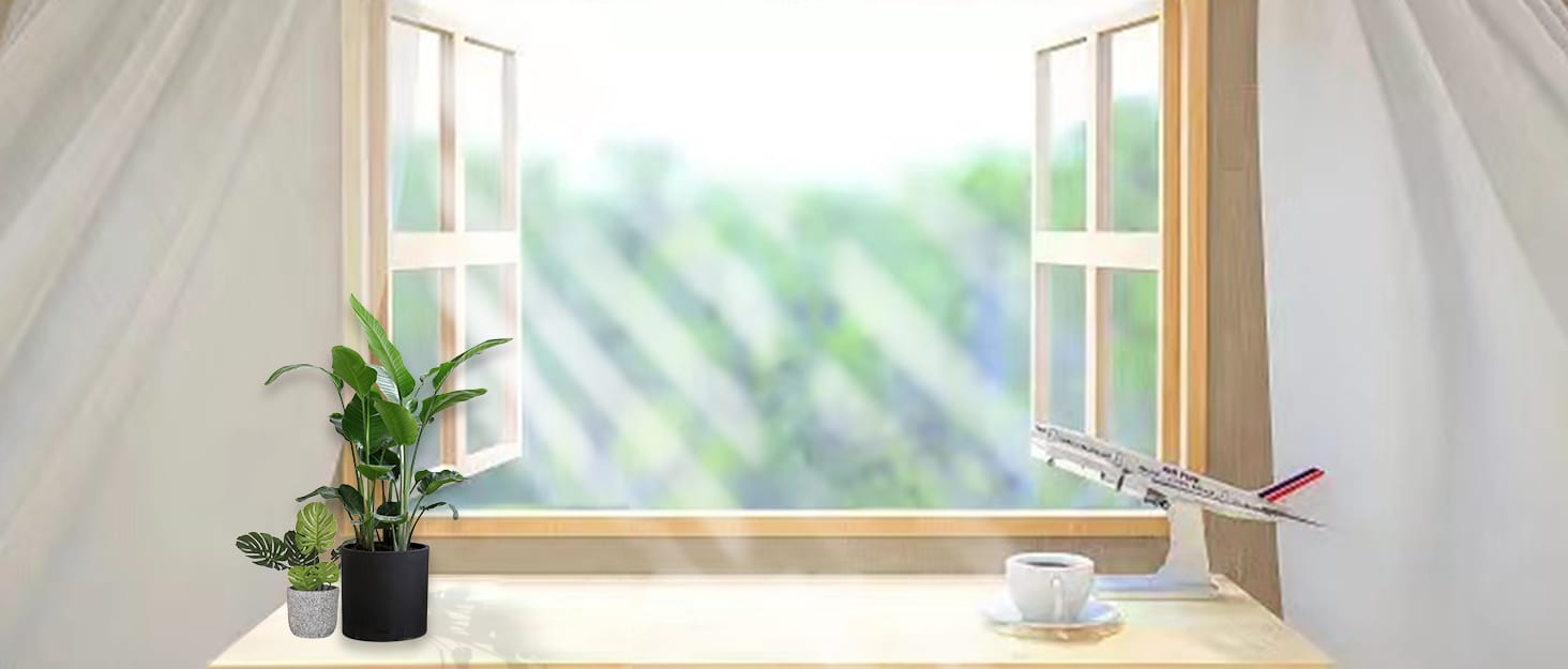 window