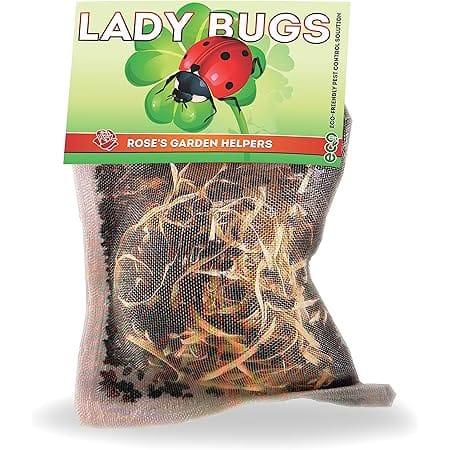 Pre-Fed Ladybugs | Rose's Garden Helpers| Hippodamia Convergens | Mesh Bag (3000)