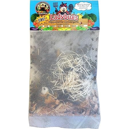 NaturesGoodGuys 1500 Live Ladybugs - Good Bugs- Ladybugs - Guaranteed Live Delivery!