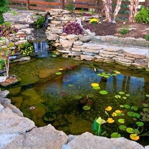 Watergarden image